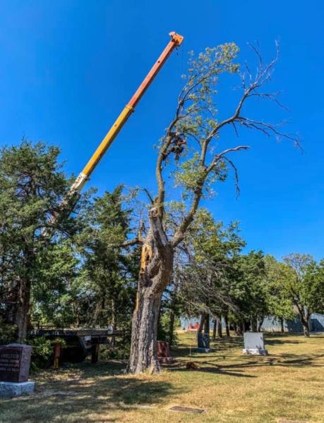 Chappell Tree Service
