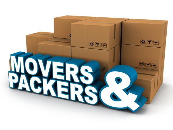 V Moving / Professional Movers
