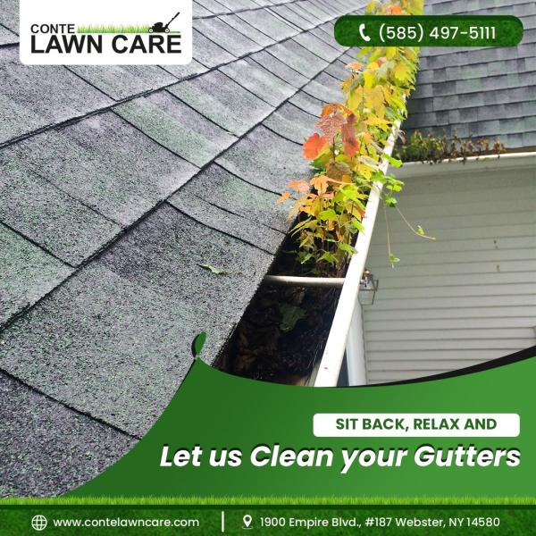 Conte Lawn Care