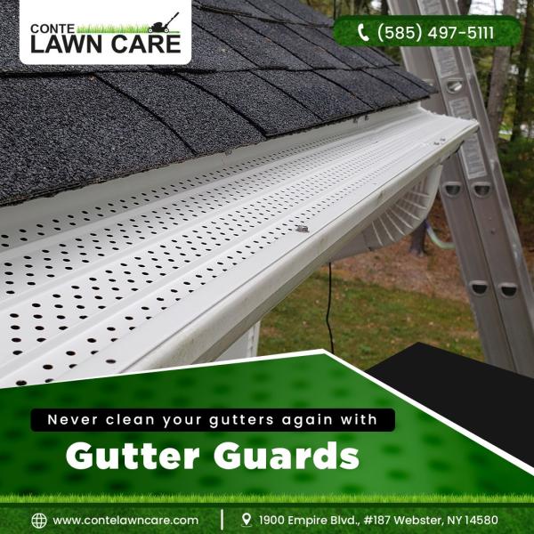 Conte Lawn Care