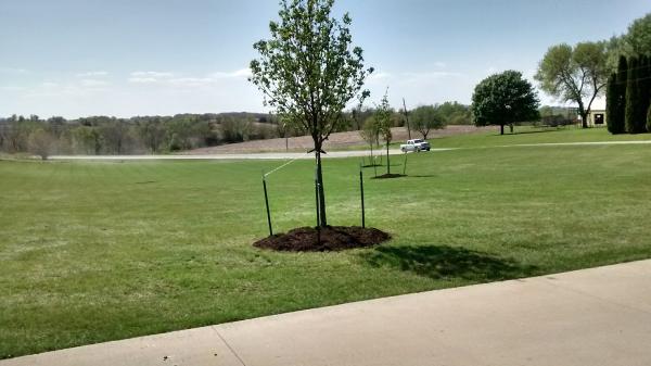 Evergreen Lawn Care & Landscape