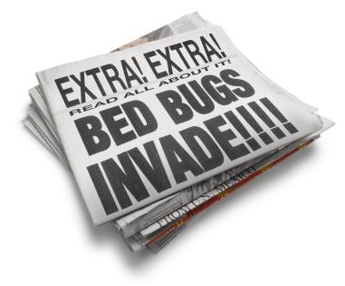 Bed Bug Exterminator Chicago
