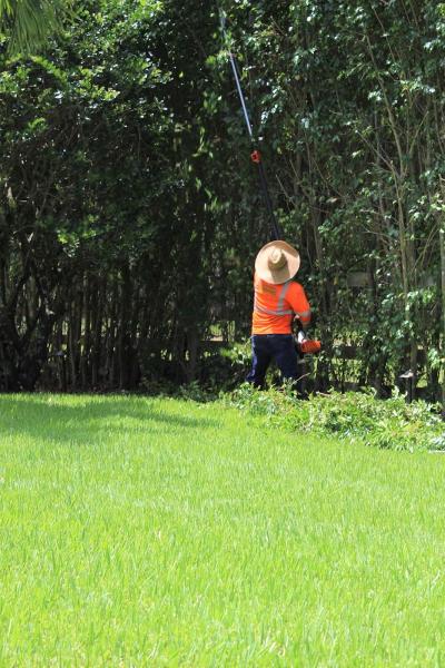 Premium Landscaping