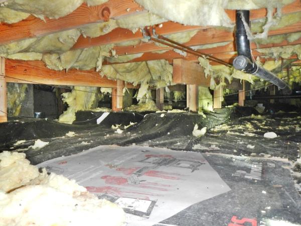 South Sound Inspection