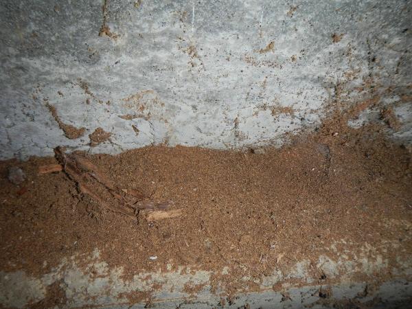 South Sound Inspection