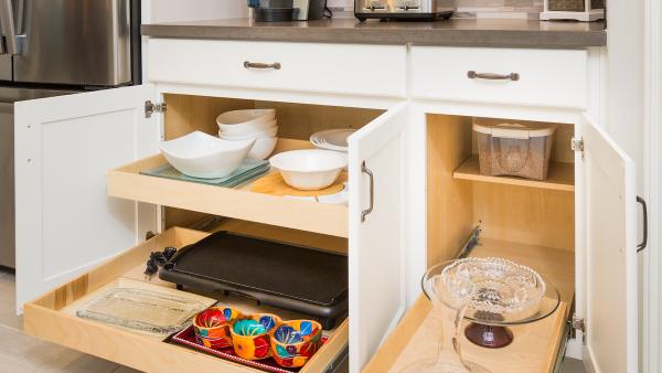Pull Out Shelves By Shelf Theory