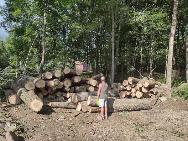Arbortech Tree Inc.