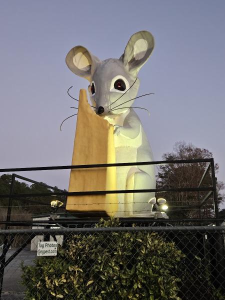 Enviroguard Pest Solutions