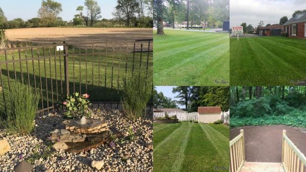 Professional Lawn Maintenance LLC