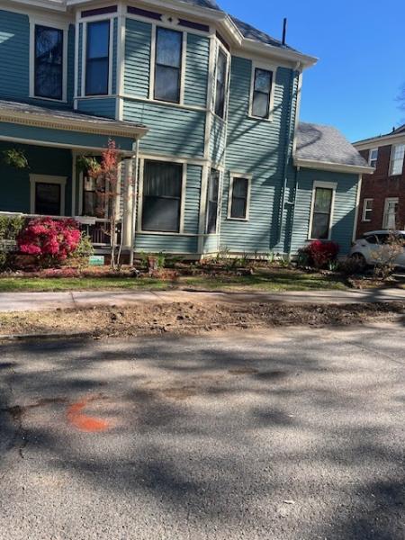Vasquez Tree Service