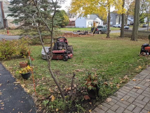 Monster Lawn Care Plus