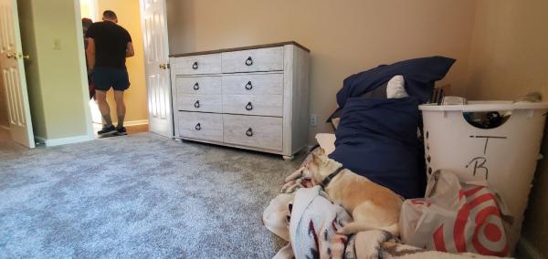 Professional Sacramento Movers