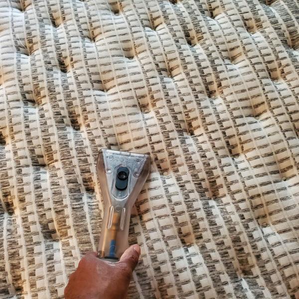 The RED Carpet Cleaning Inc.