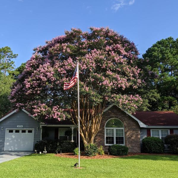 Total Tree Care