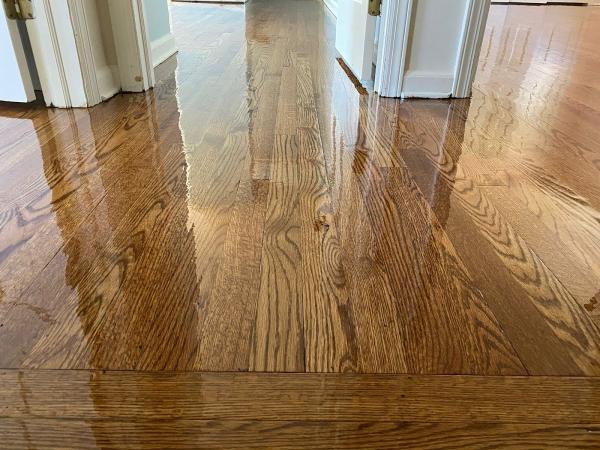 HGT Painting & Floors