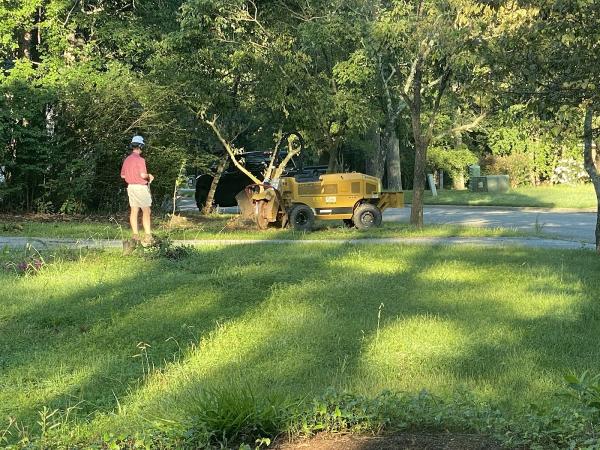 Jeffjacket Stump Grinding