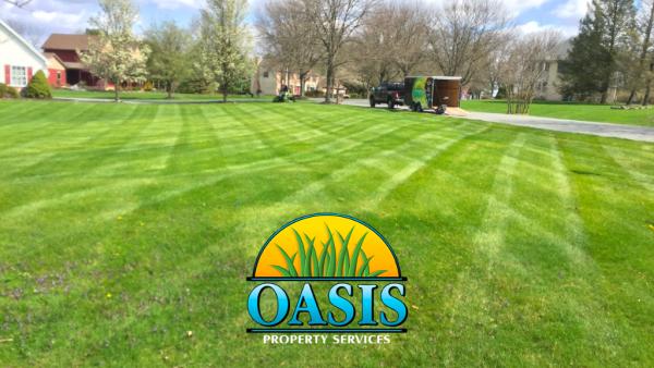 Oasis Property Services