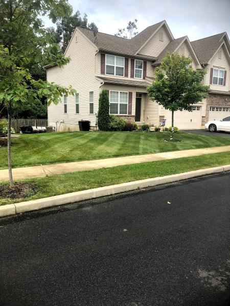 Oasis Property Services