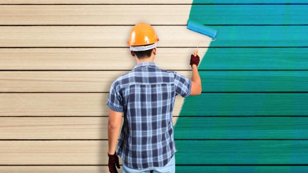 Pro Painting and Carpentry