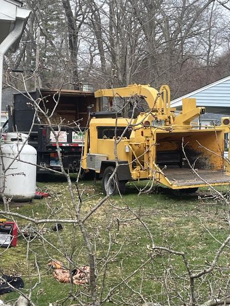 Mike's Tree Service & Landscaping