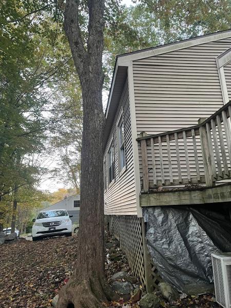 Mike's Tree Service & Landscaping