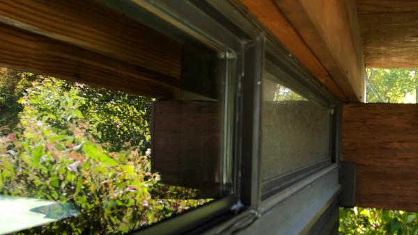 Spectra Window Cleaning