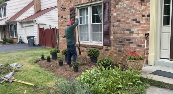 YAS Tree Services INC