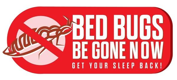 Bed Bugs Be Gone Now
