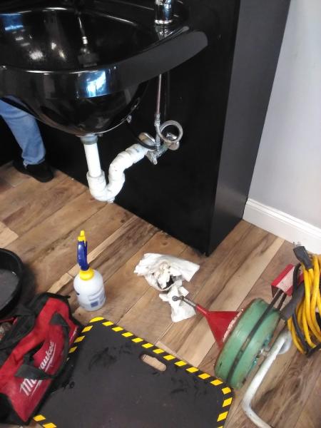 Drain Frog