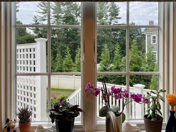 Looking Glass Window Washing Service