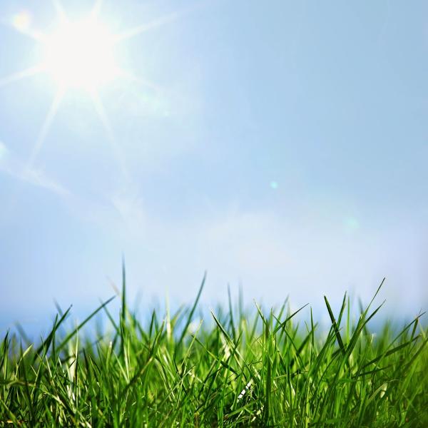 Parkway Lawn Service Inc.