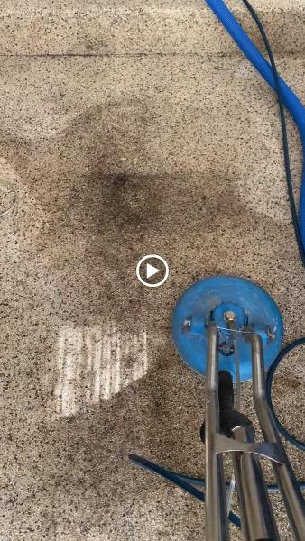 Martin Carpet & Rug Cleaning Company