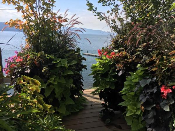 Country Girl Gardens