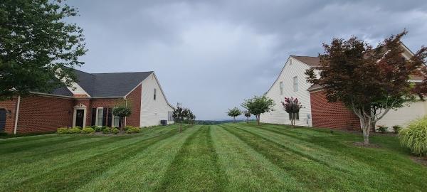 Greenscapes VA