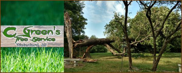 C Green's Tree Service