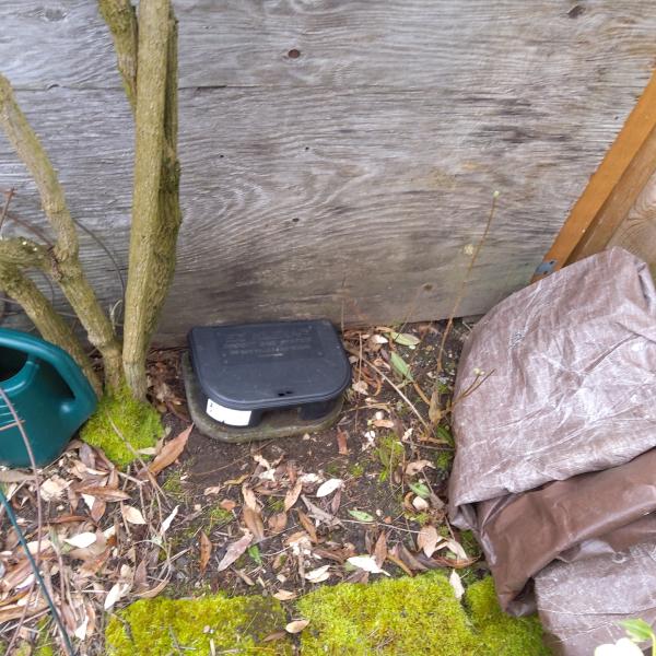 Long Pest Control