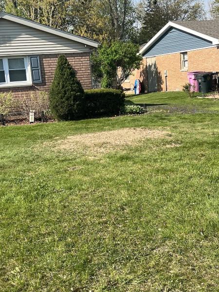 Chava Tree Service
