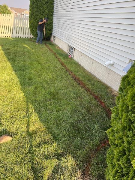 Chava Tree Service