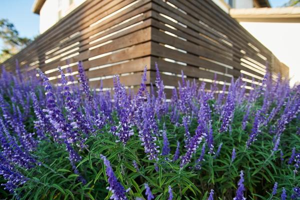 Studio PAD Landscape Architecture