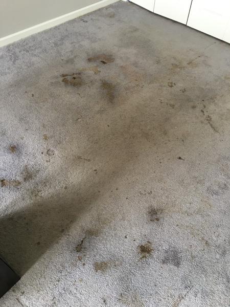 Nu-Way Systems Carpet Dyeing & Cleaning