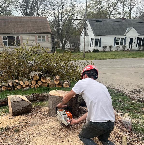 Carroll's Tree Trimming