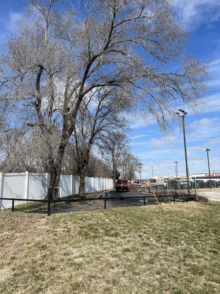 Carroll's Tree Trimming
