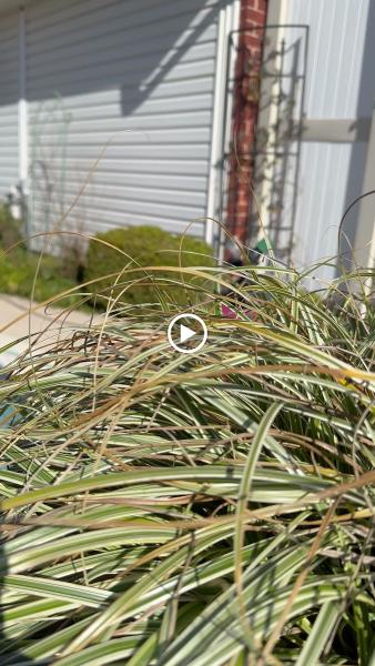 Evolution Leak Detection & Pool Repair