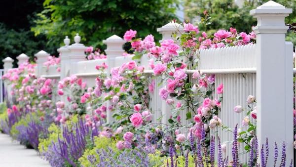 Wayside Fence Company