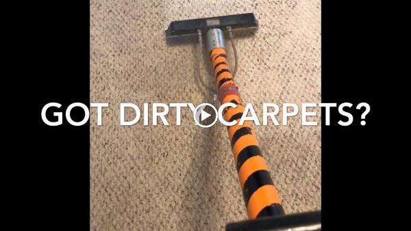 Tigerdry