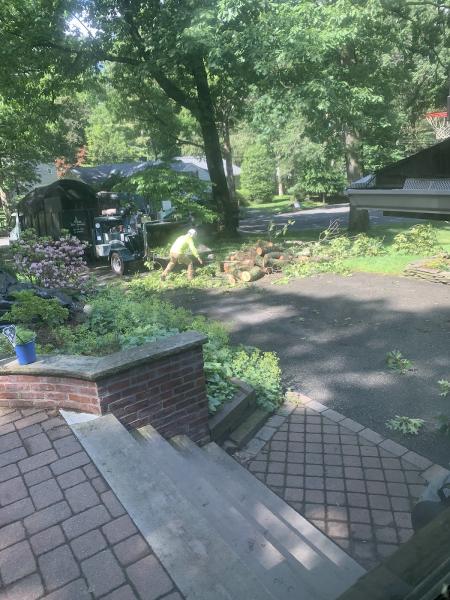 Vivar Tree Services LLC
