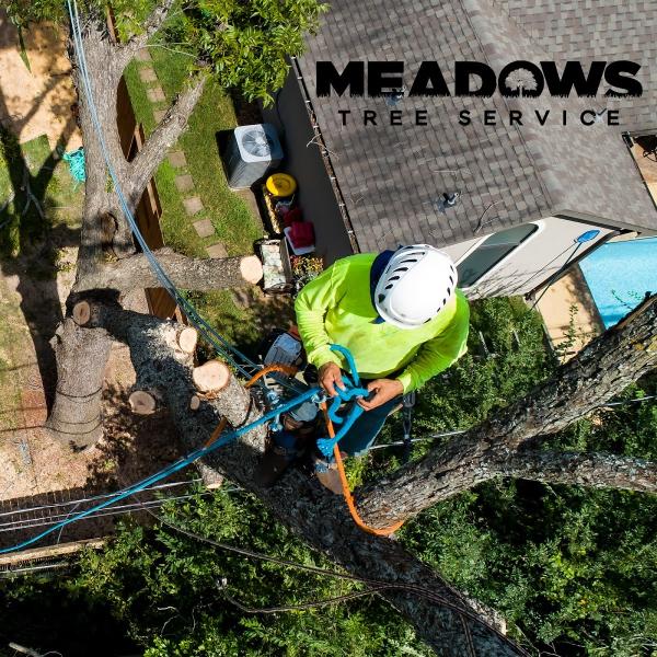 Meadows Tree Service