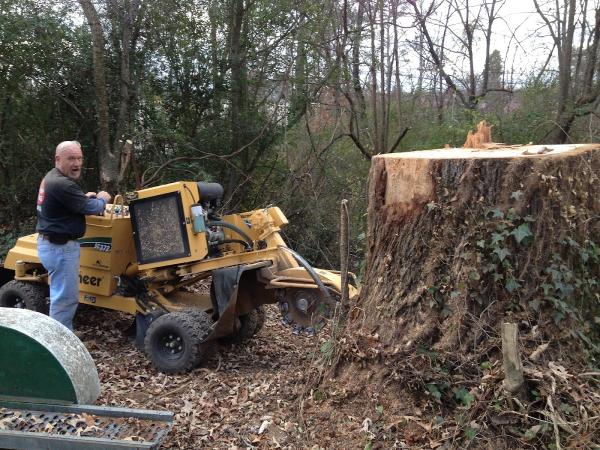 Bob's Stump Grinding Charleston