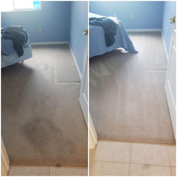 Linky's Carpet & Tile Cleaning