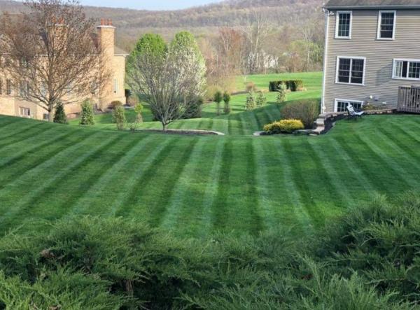 Hardscapes Landscaping LLC